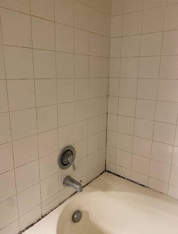 reviewer before image of mildew build up in grout of bathtub