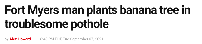 A headline that says Fort Myers man plants banana tree in troublesome pothole