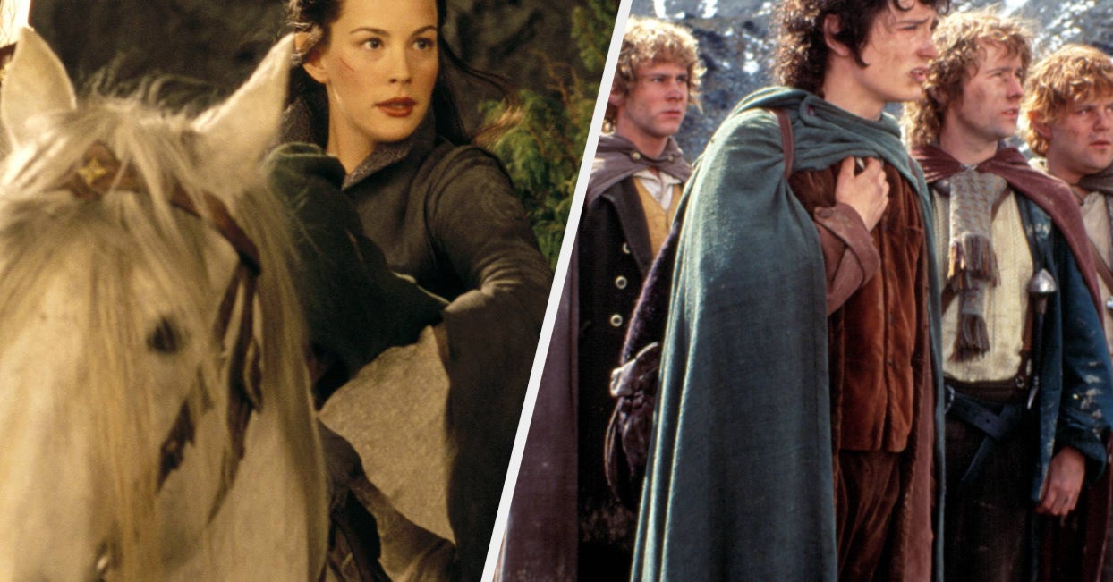 Here's What "The Lord Of The Rings: The Fellowship Of The Ring" Cast Look Like Today Compared To When The Film Premiered 20 Years Ago