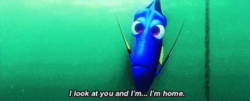 a gif of Dory from Finding Nemo saying &quot;I look at your and I&#x27;m home&quot;