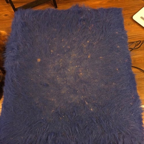 Reviewer before photo of a blue faux fur rug covered in cat crumbs, dirt, and dander