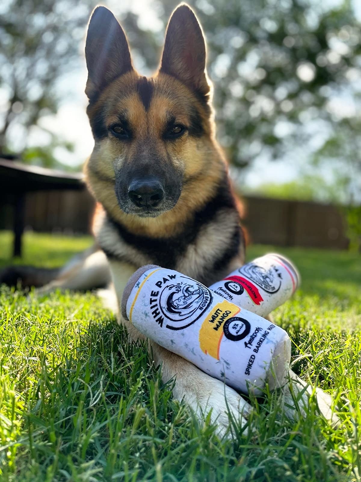 Reviewer photo of a dog sitting with two Pup Claw toys on their front paws