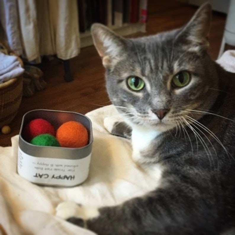 A cat lounging next to a metal tin with various colored felt balls inside