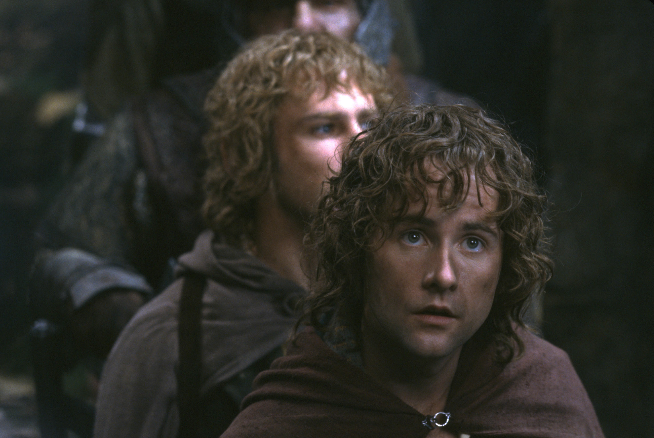 Billy Boyd in The Lord of the Rings: The Fellowship of the Ring