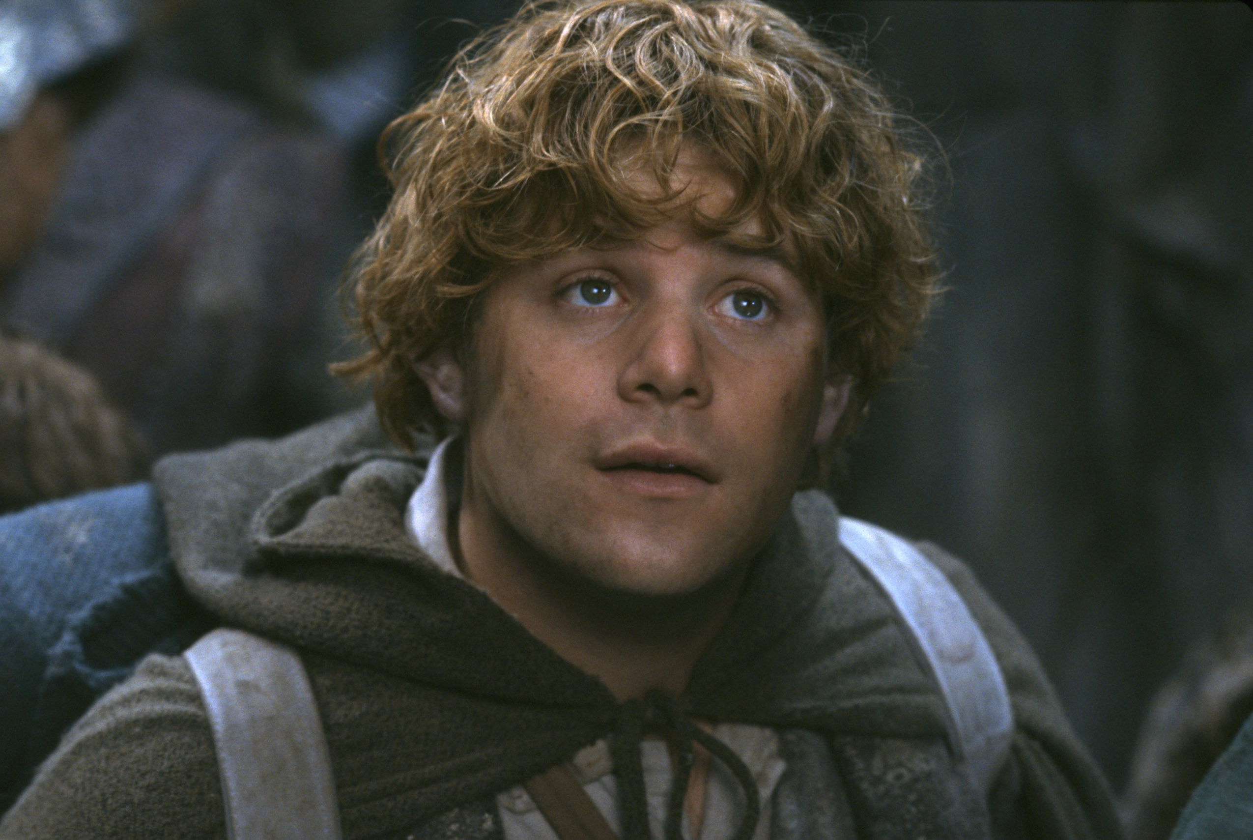 Sean Astin in The Lord of the Rings: The Fellowship of the Ring