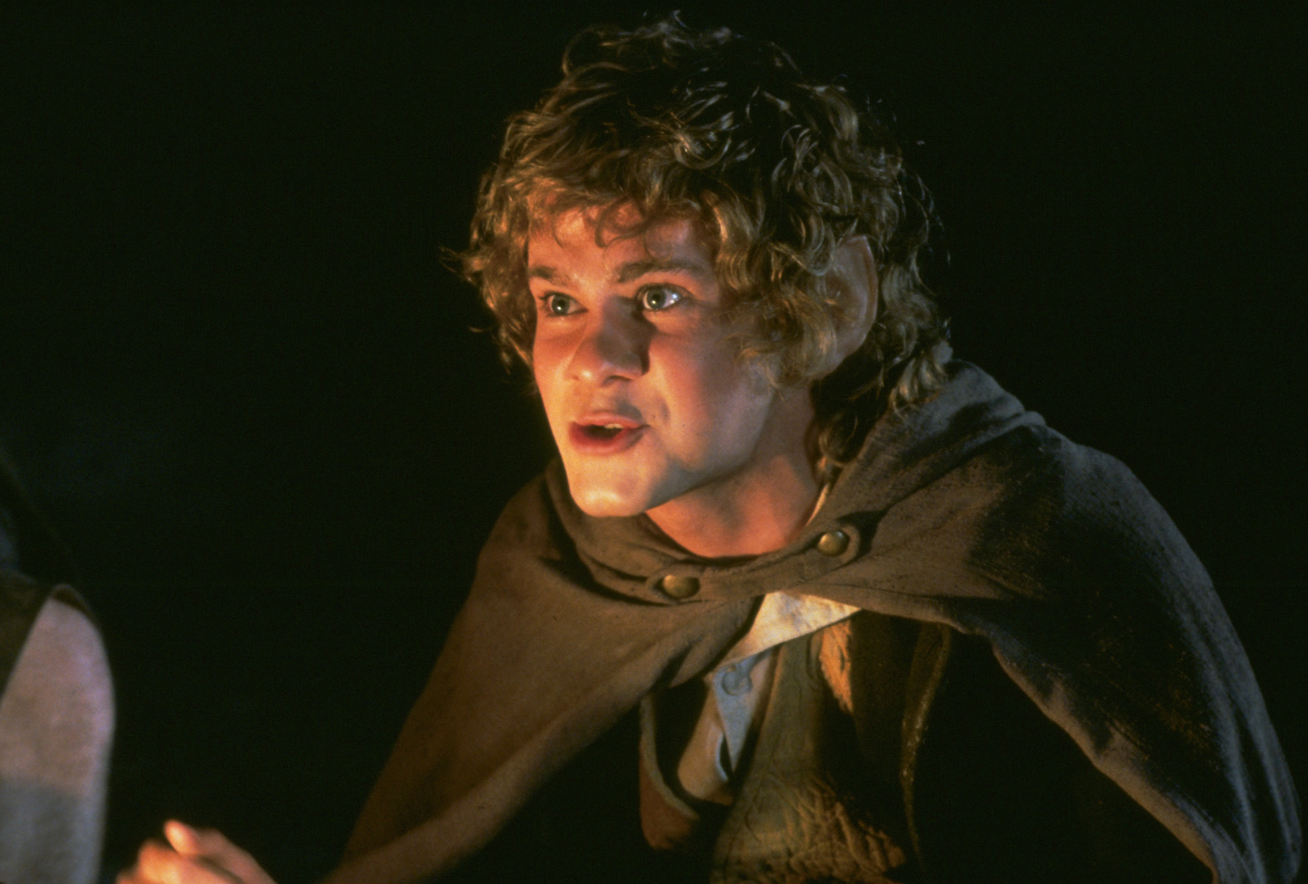 Dominic Monaghan in The Lord of the Rings: The Fellowship of the Ring