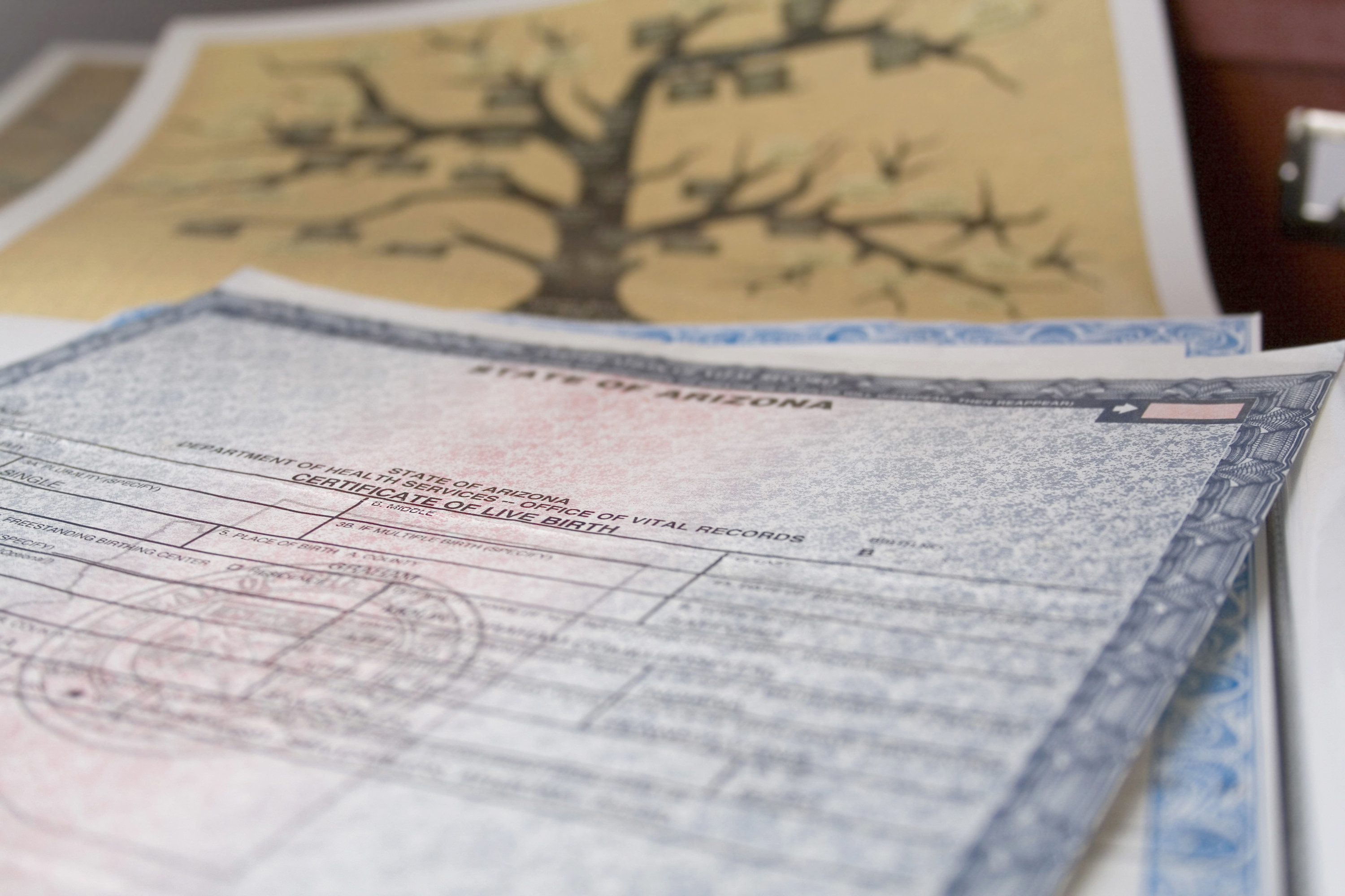 Close-up of birth certificate with family tree document in the background
