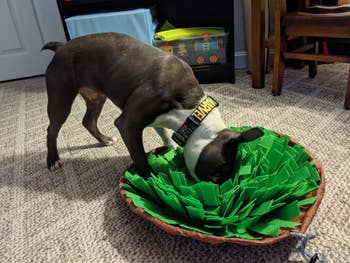 Reviewer photo of a dog sniffing inside a snuffle mat