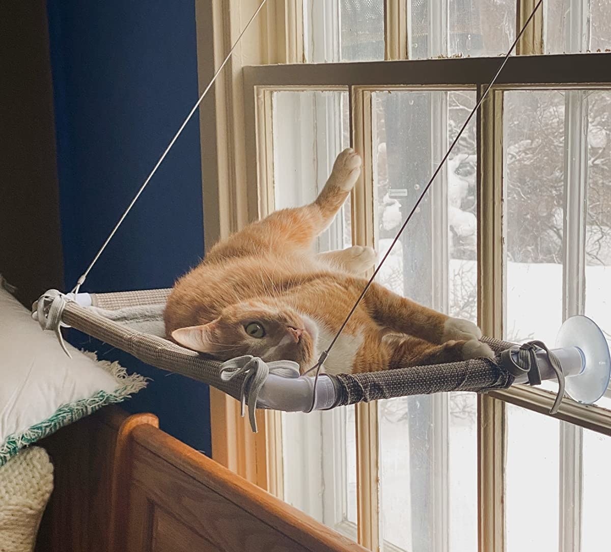 Reviewer photo of their orange cat lounging on the window perch