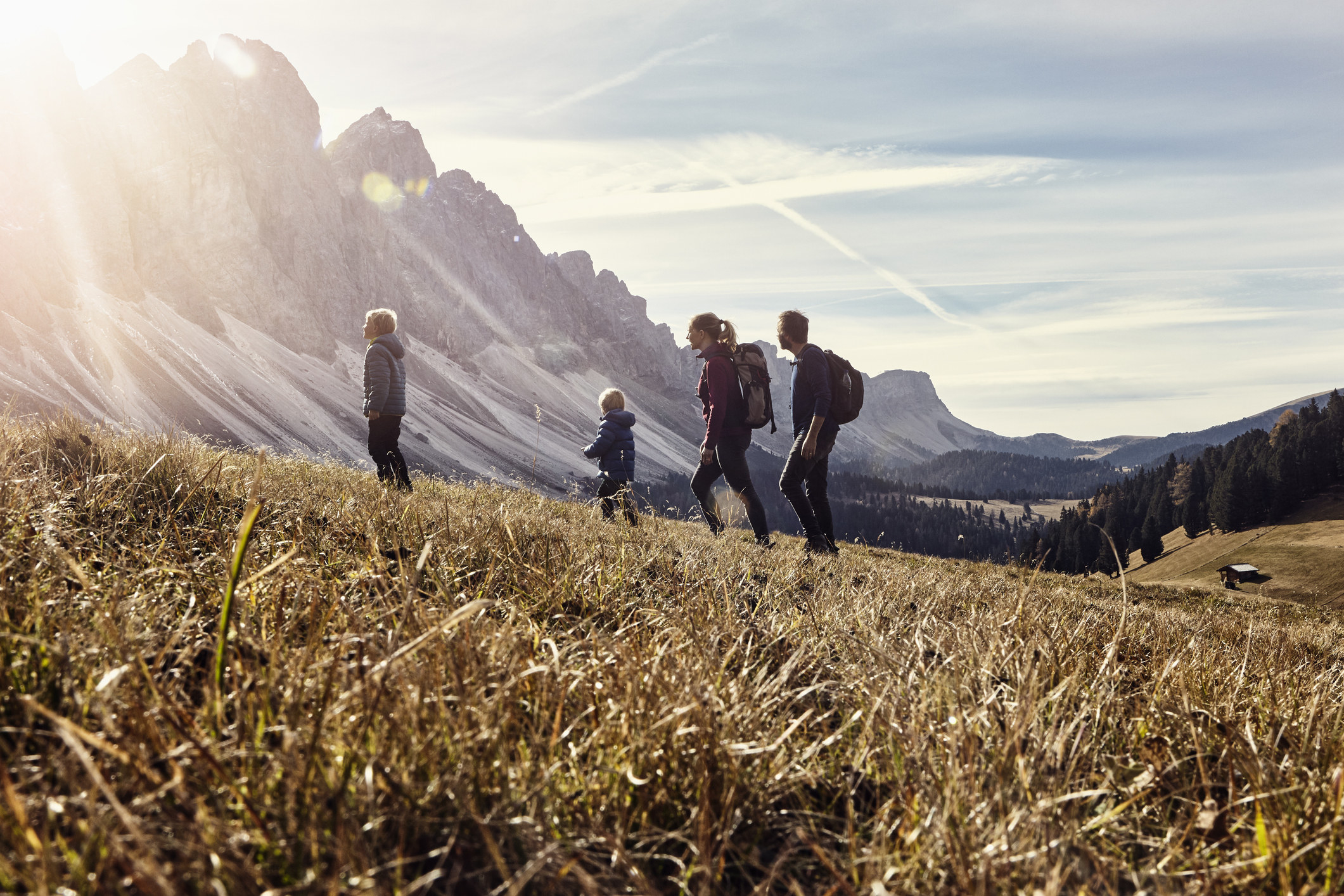 A group of adults hiking in the mountains.