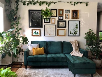 reviewer photo of green couch in a well-decorated living room with plants
