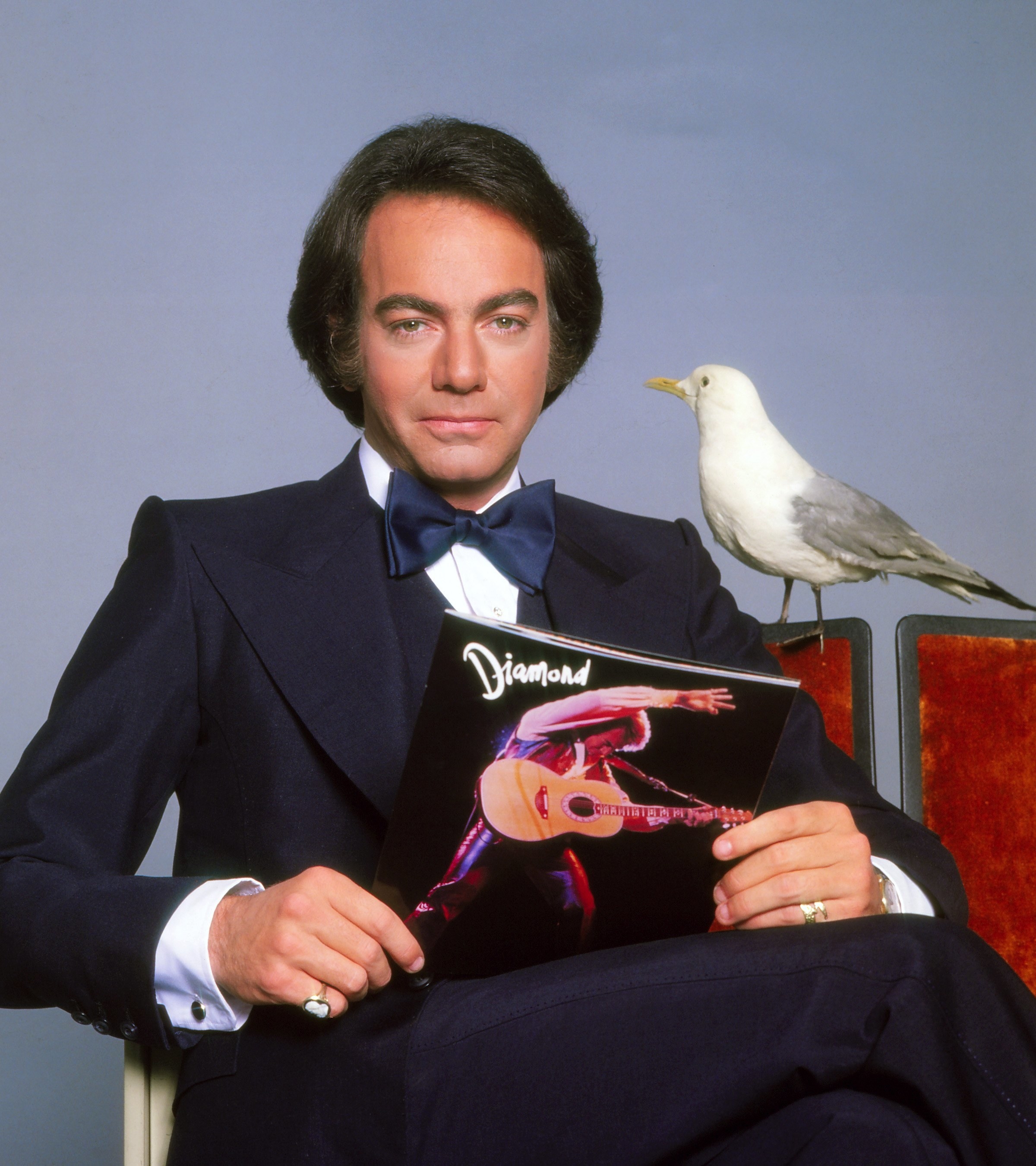 he&#x27;s sitting in a suit and has a seagull on him