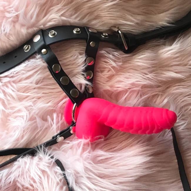 Pink textured dildo attached to black harness