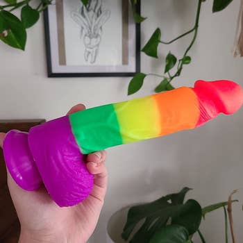 Reviewer holding rainbow stripe dildo
