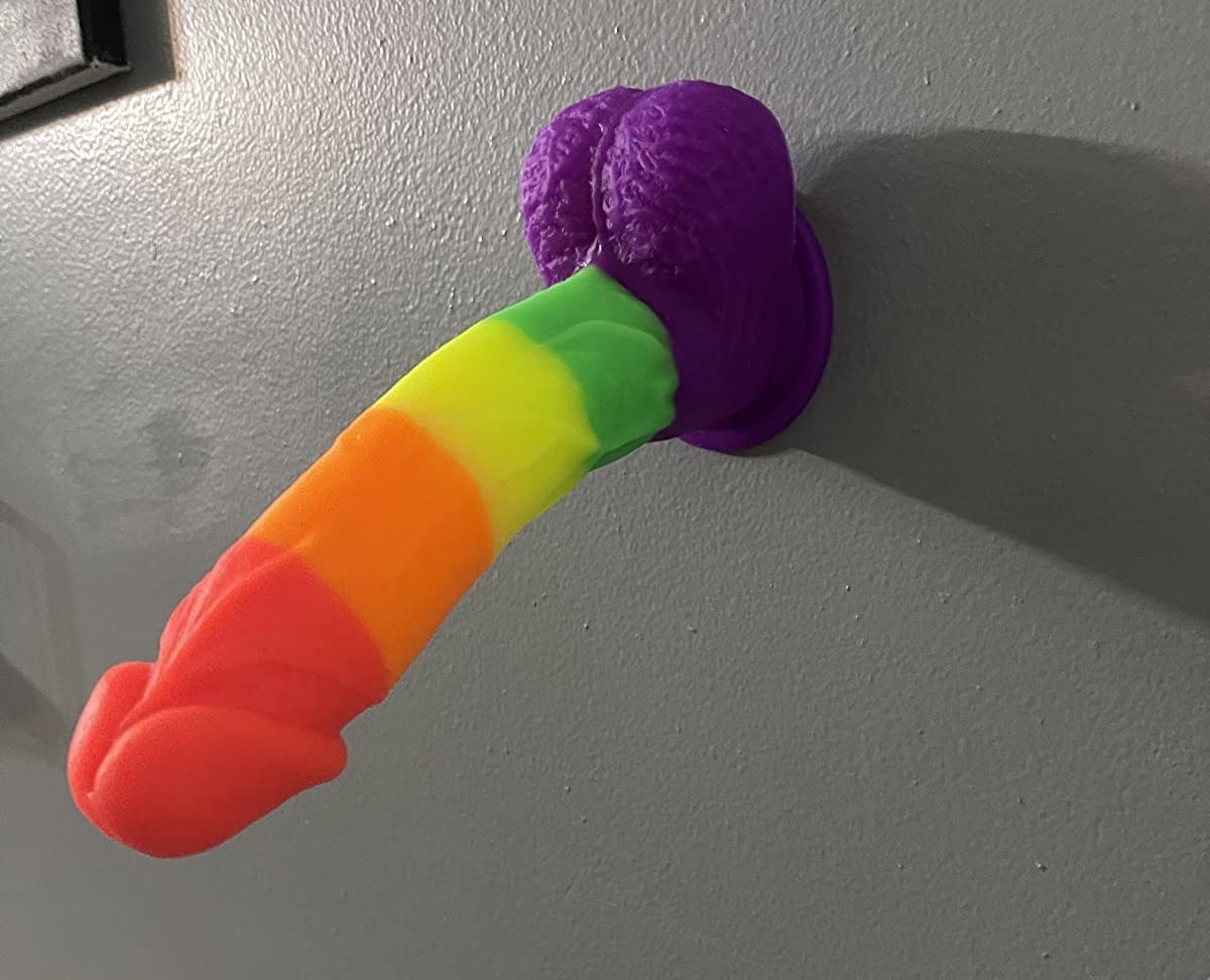 Rainbow dildo attached to wall