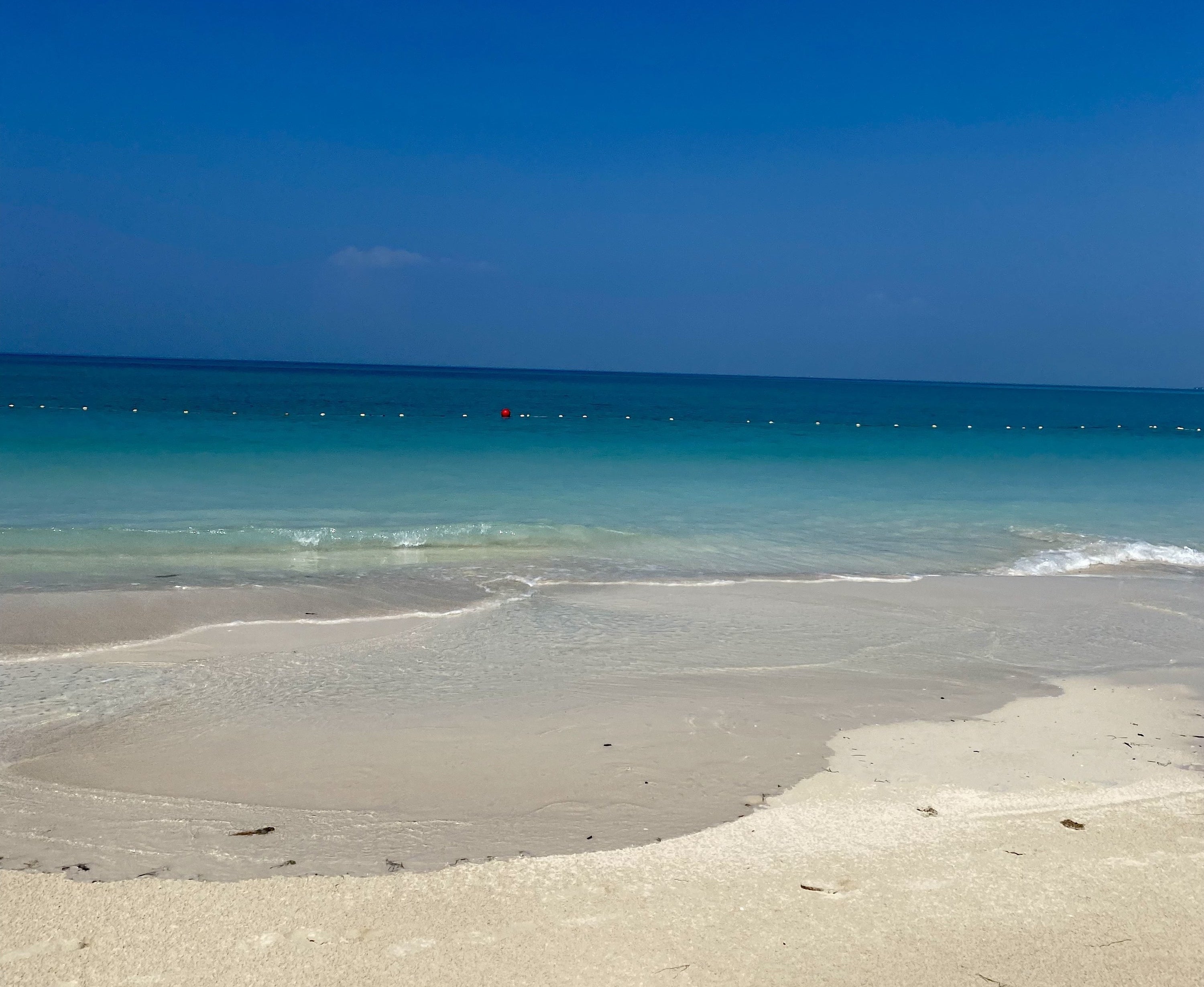 the beach