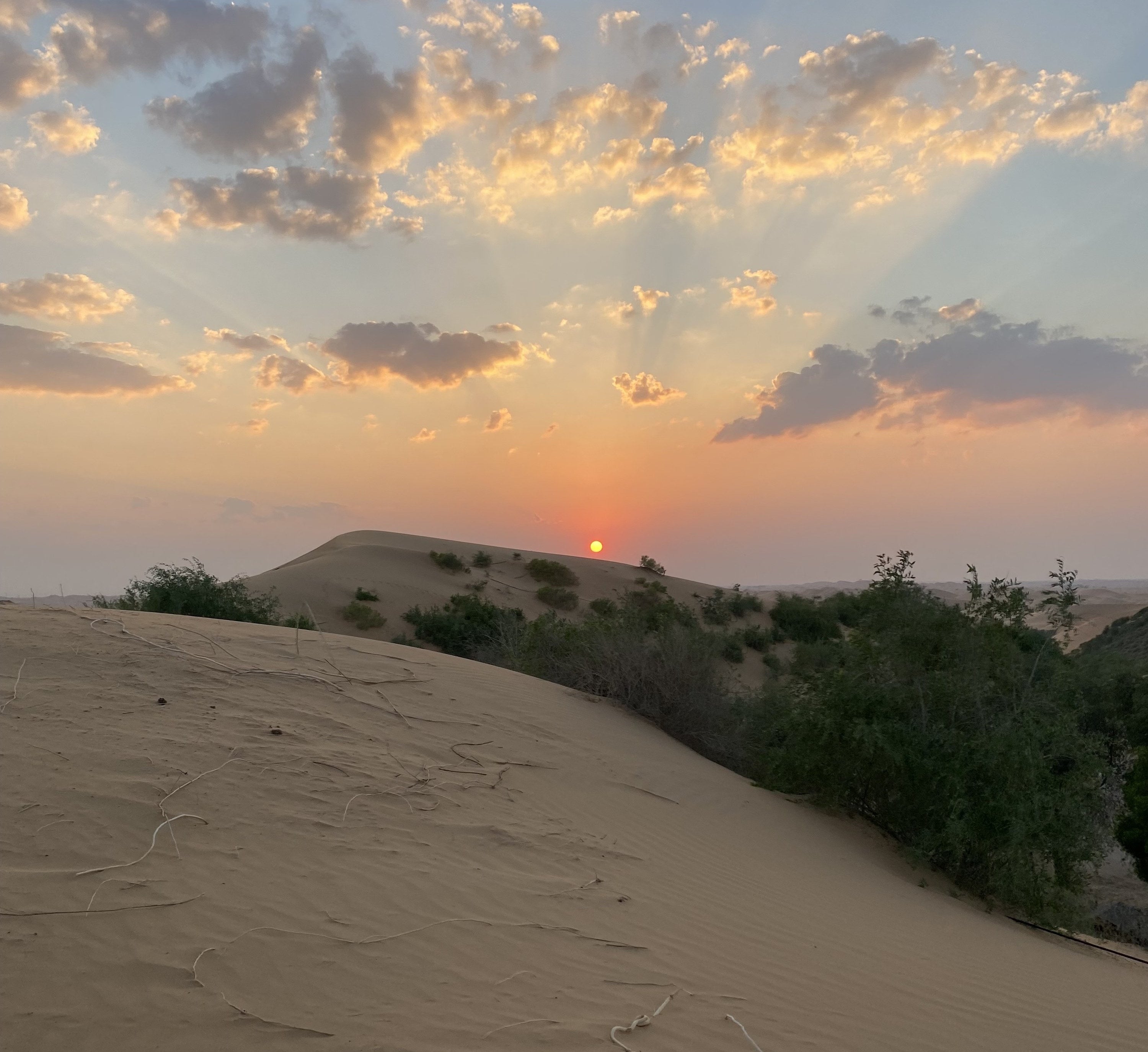 sunset over the sand dunes