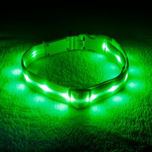 the collar lit up bright green