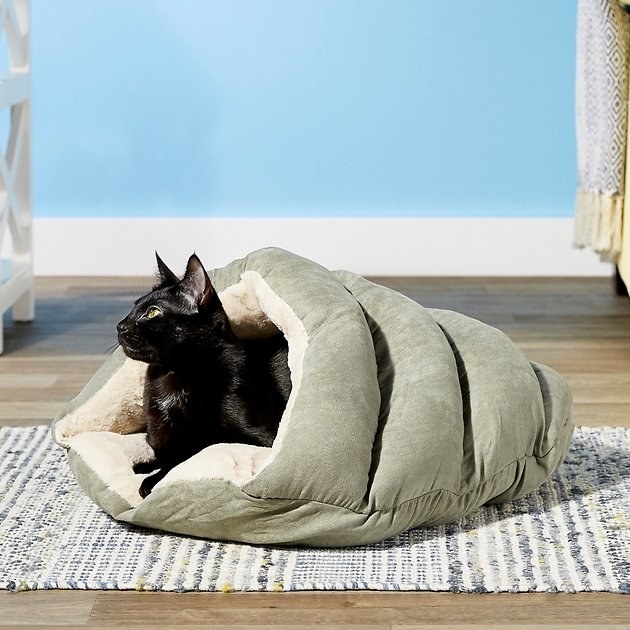 black cat in a green cave bed with faux fur interior