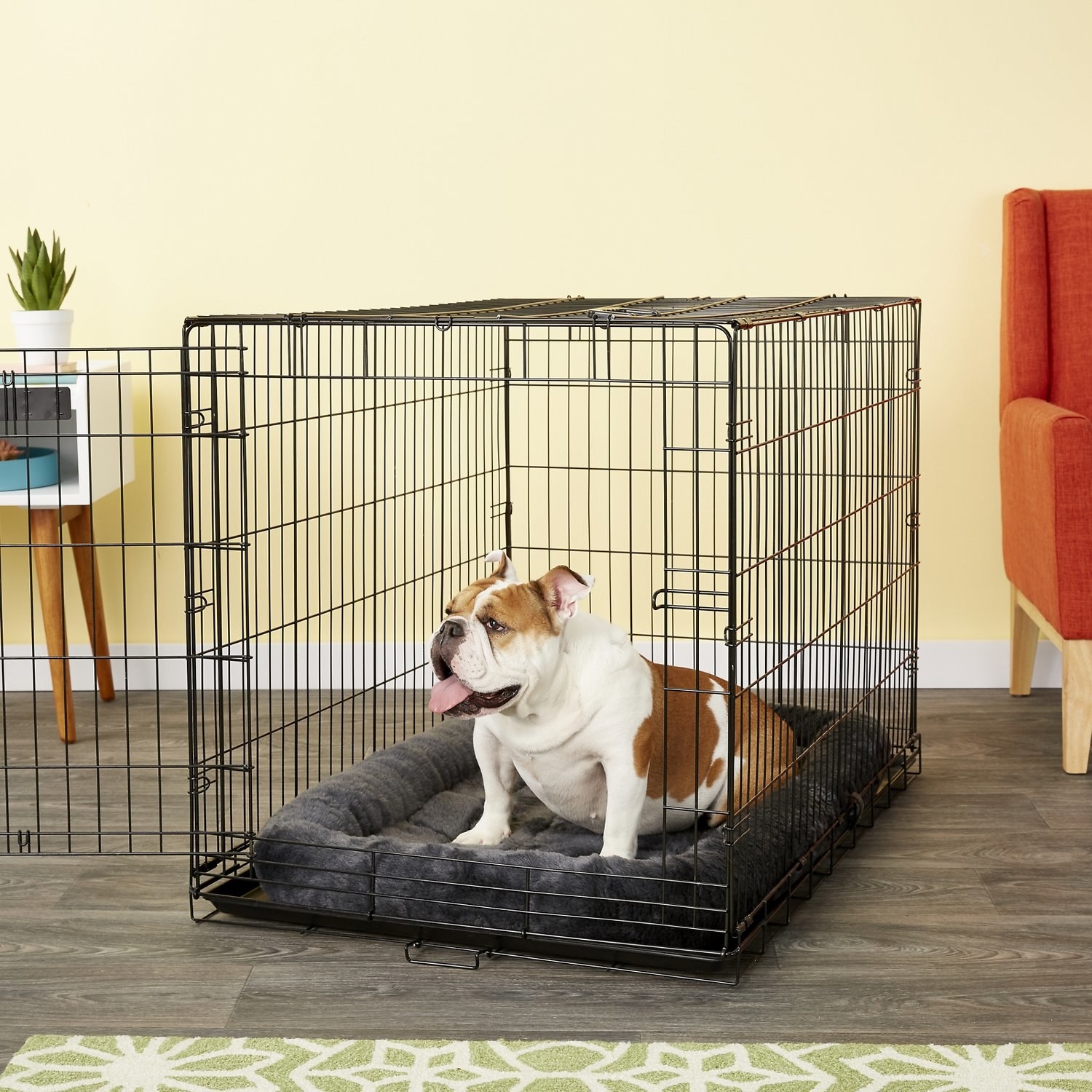 bulldog sitting on a gray fleece crate mat inside a crate