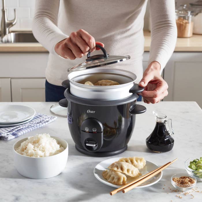 A model using a rice cooker with rice and dumplings