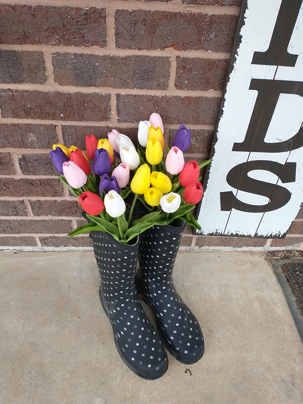 colorful tulips on a reviewer's porch