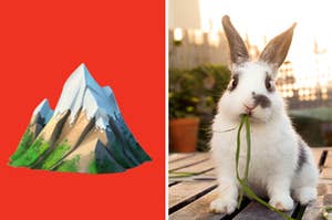 A mountain emoji is on the left with a rabbit eating plants on the right