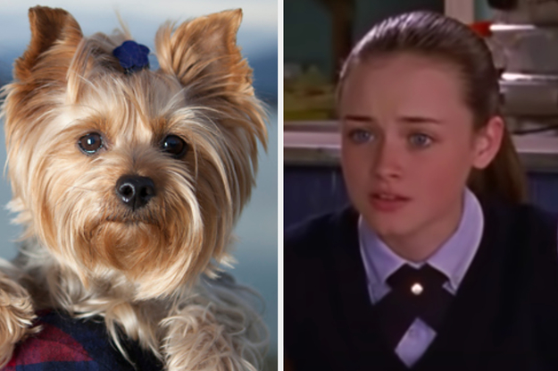 A puppy is on the left with Rory Gilmore on the right