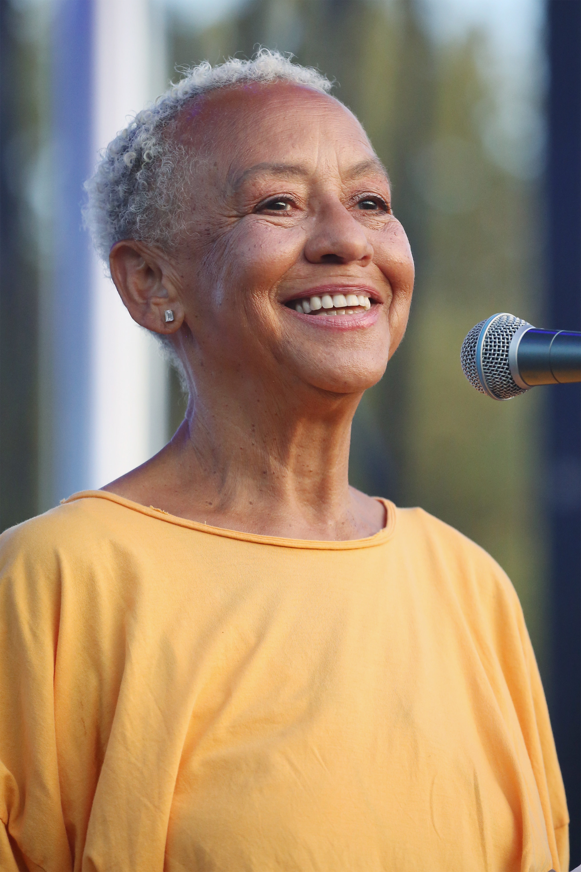 Poet Nikki Giovanni talks on stage at the 12th Annual Afropunk Brooklyn Festival at Commodore Barry Park in 2016