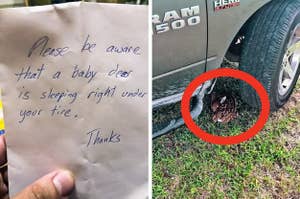 A note that says "please be aware that a baby deer is sleeping right under your tire" next to a photo of the sleeping baby deer