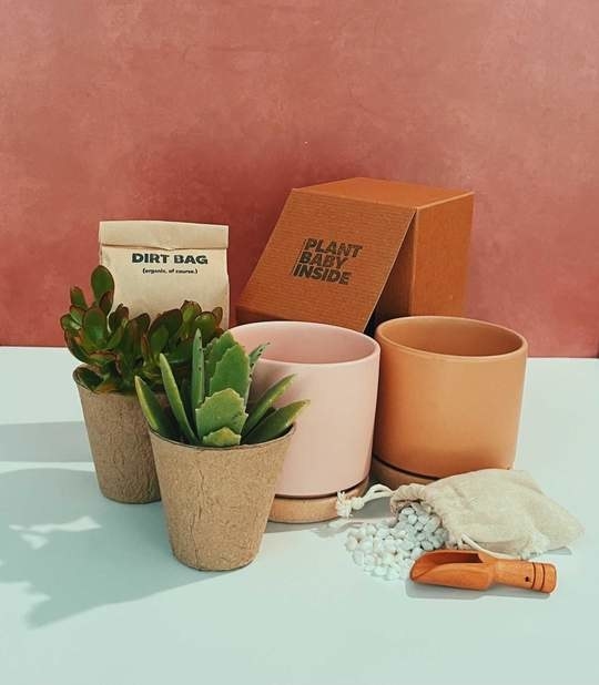 The unboxed kit with two planter pots and two small succulents