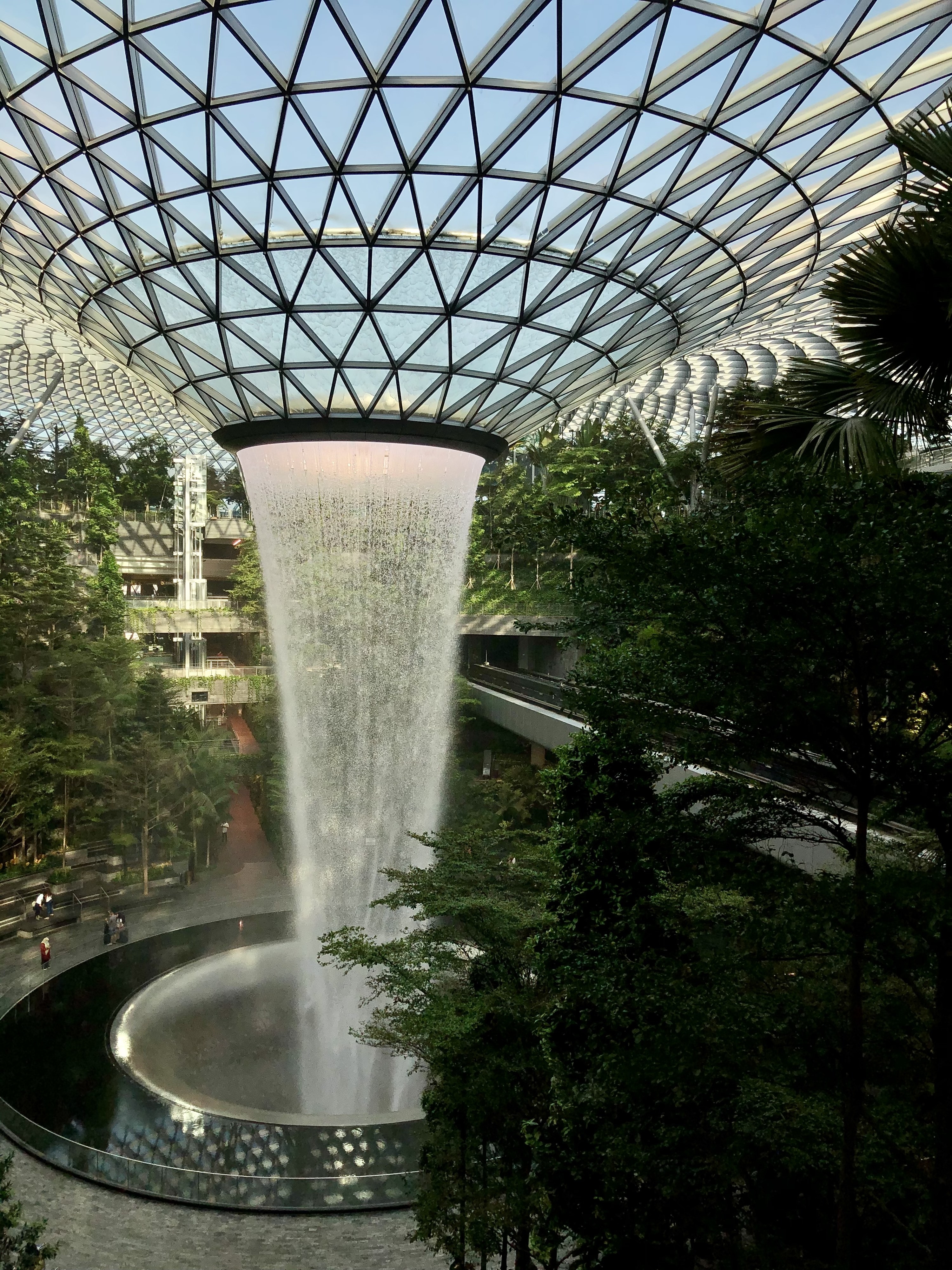 Singapore's Changi Airport Features a Giant Slide That Takes You to Your  Gate