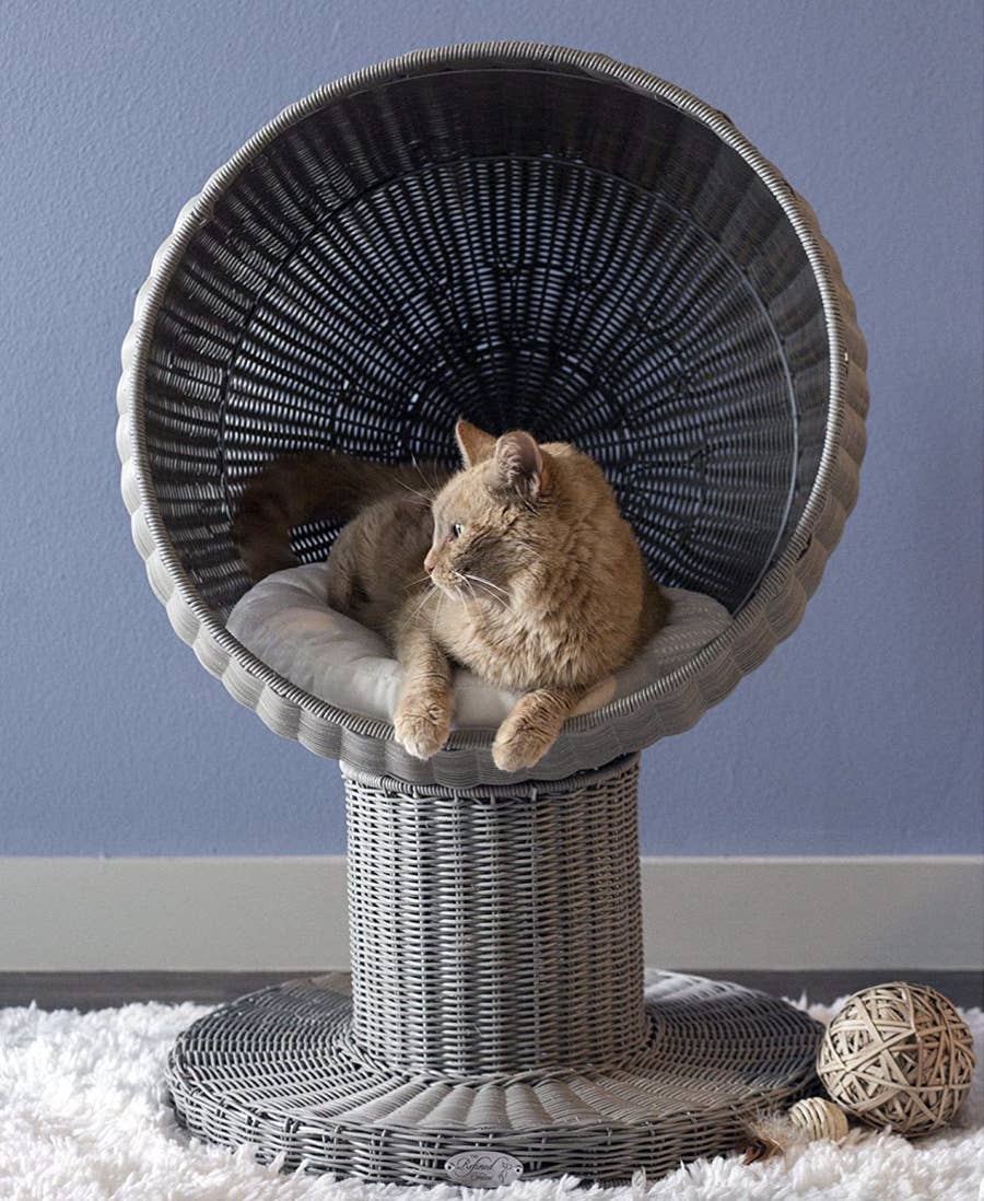 31 Cool And Unique Cat Products