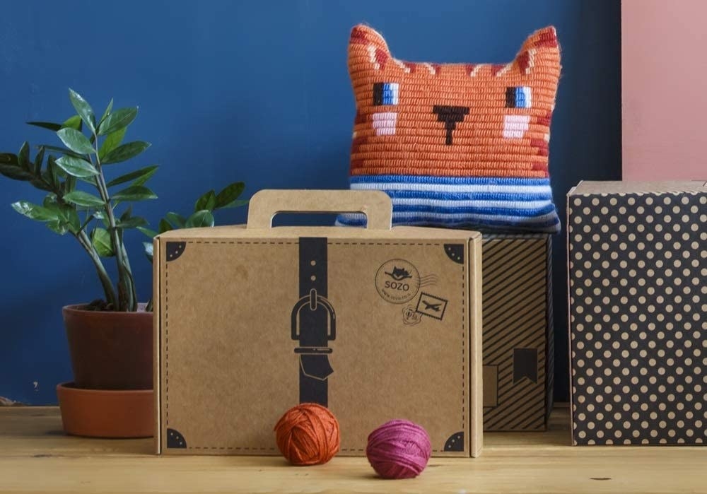 cat face pillow and suitcase box