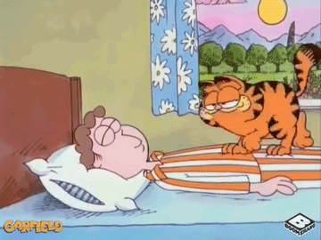 Gif of Garfield opening John&#x27;s eyes and dancing on his face in bed