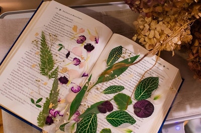 the pressed flower bookmarks