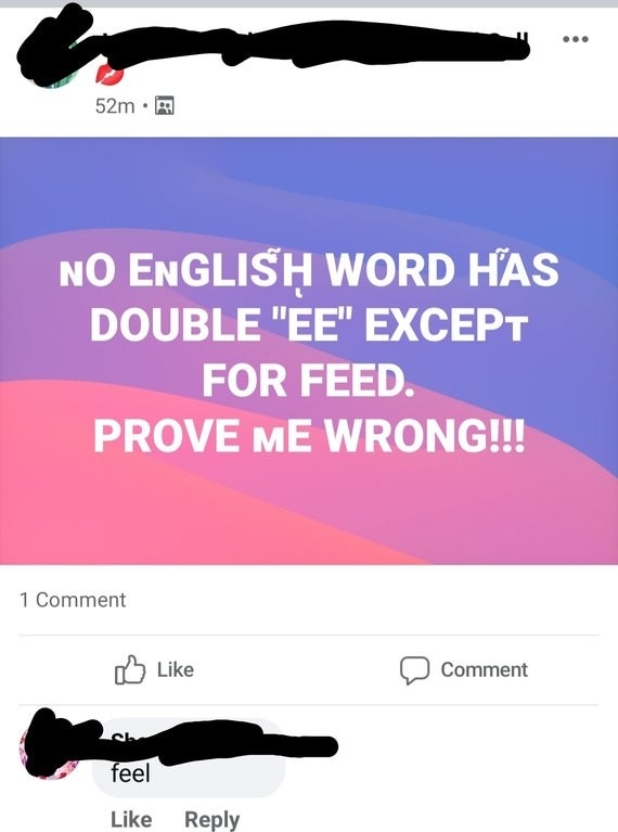 person who thinks there is only one word with two e&#x27;s in the english language