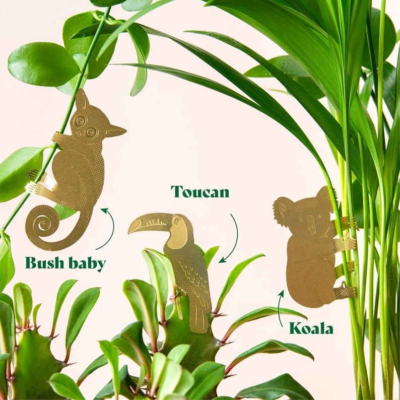 a brass bush baby, toucan, and koala plant decorations