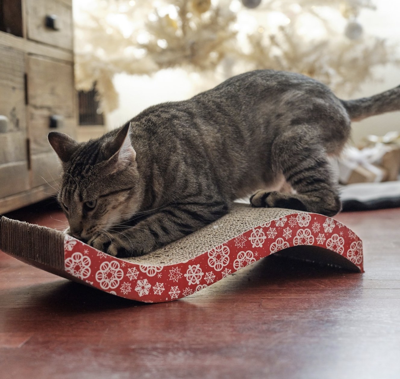 a cat scratching in the post that has red and white snowflake designs on the side