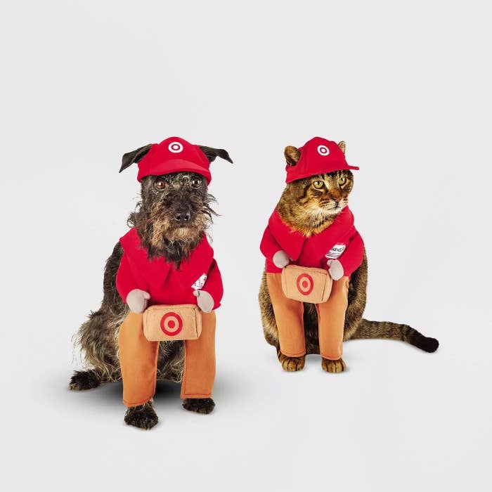 A cat and a dog wearing the Target team member costume