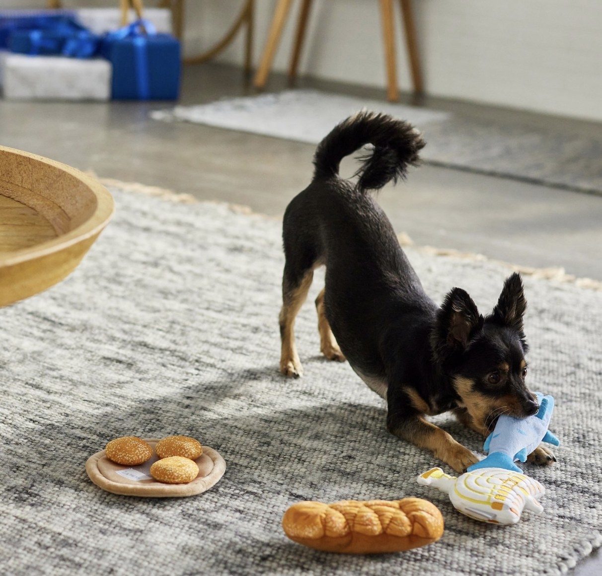a dog playing with a Hanukkah stuffed toy set