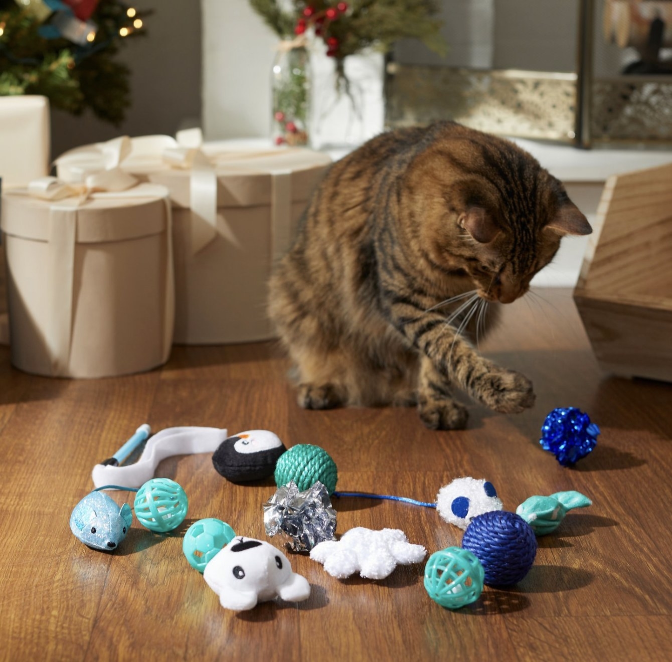 a cat playing with the blue and white set