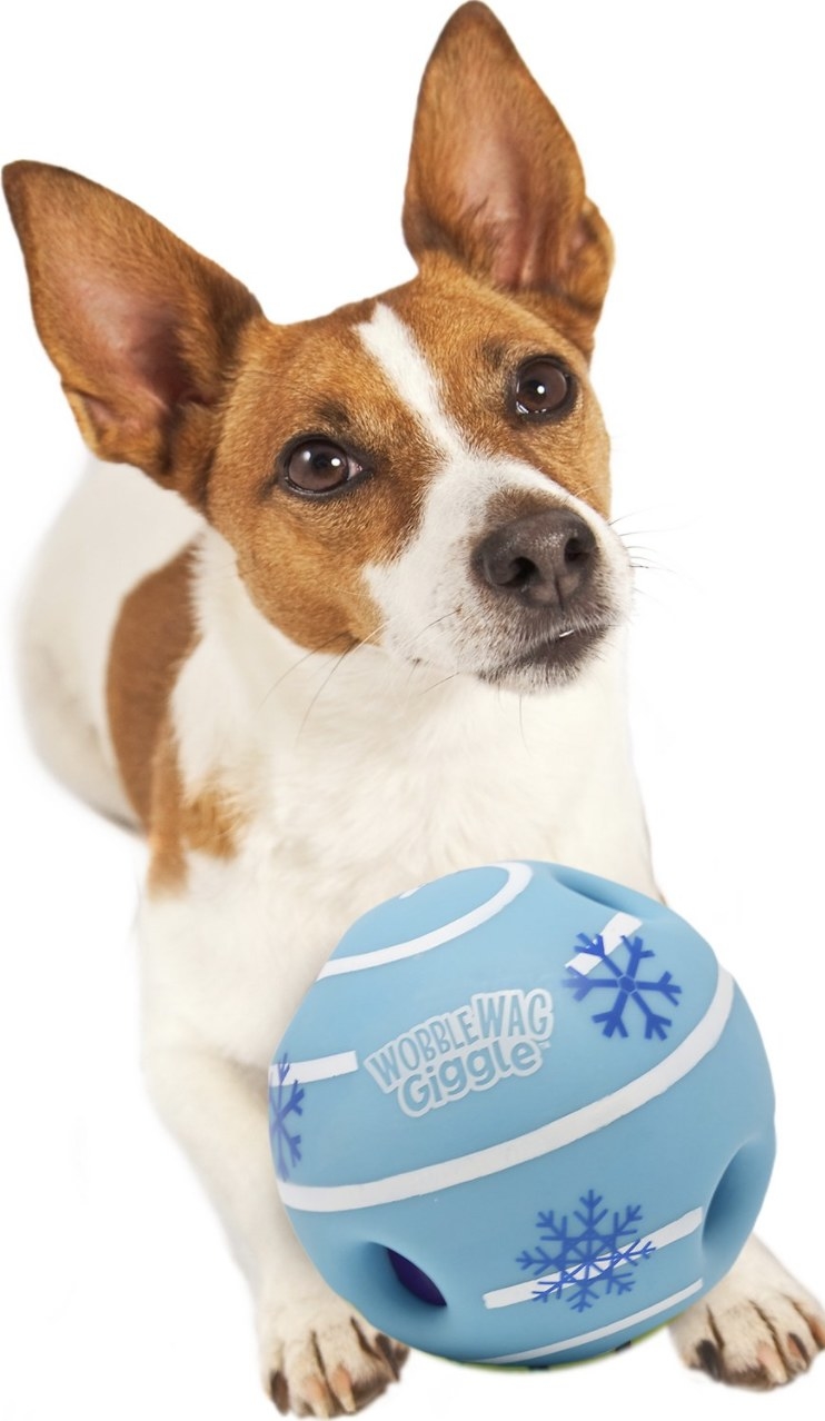 a dog holiding a blue and white toy ball with snowflakes on it