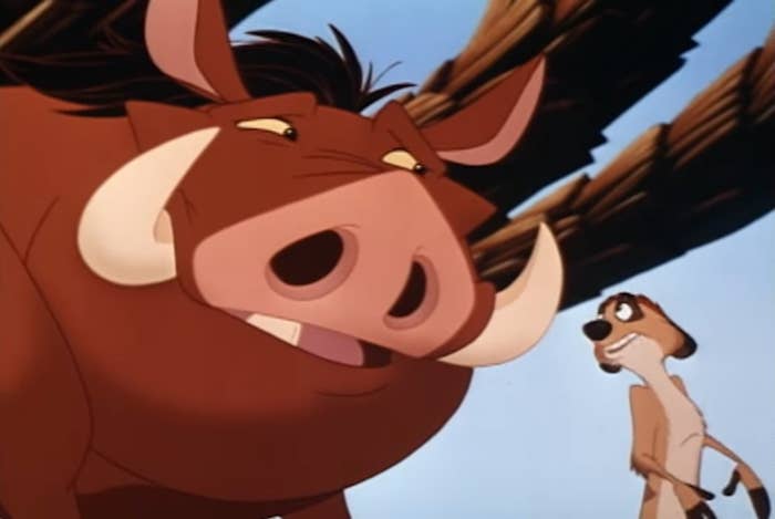 Timon and Pumbaa from The Lion King