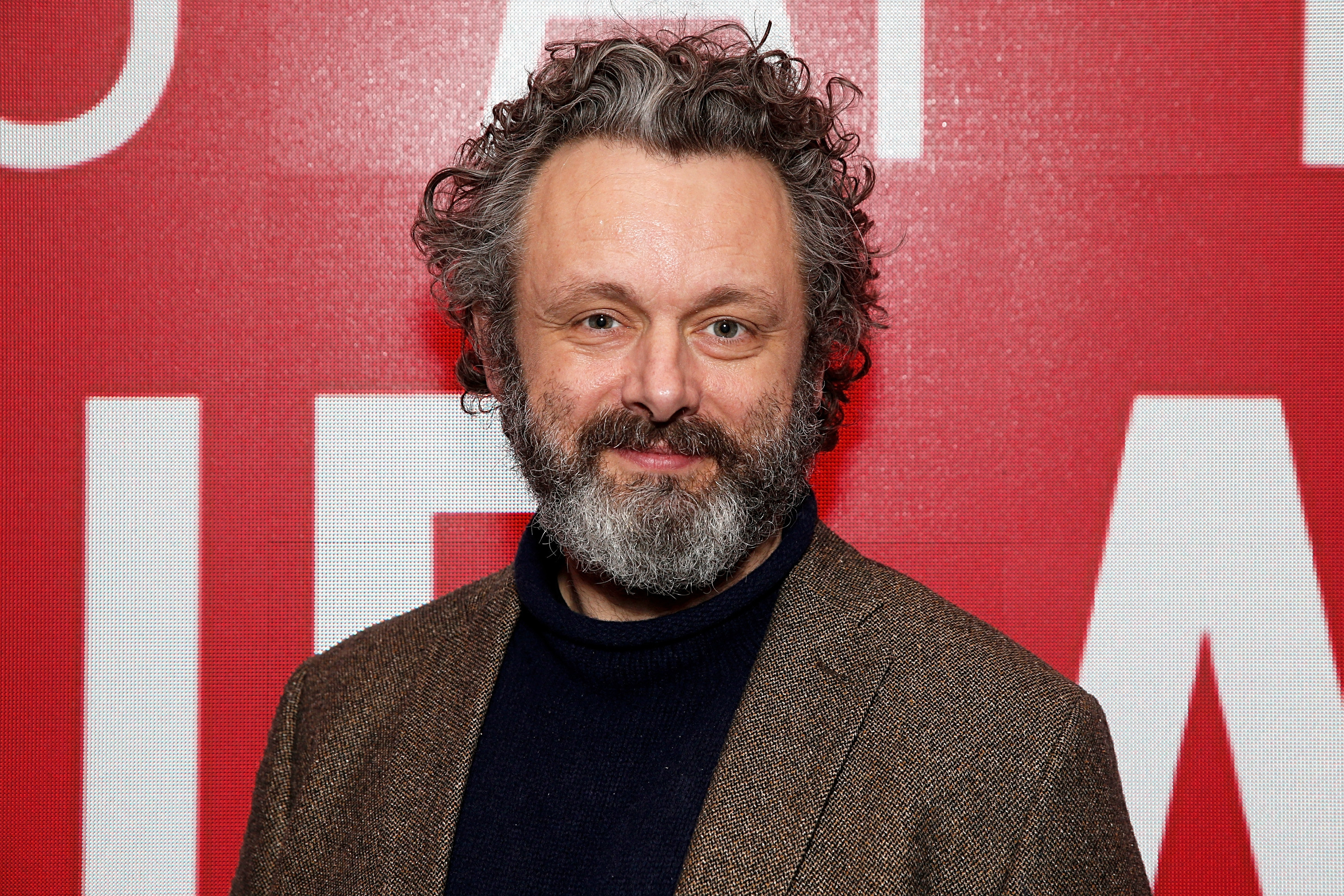 Sheen looks at the camera with a slight smile at a red carpet event