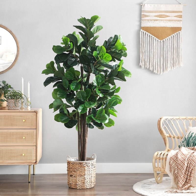 The faux fiddle leaf fig