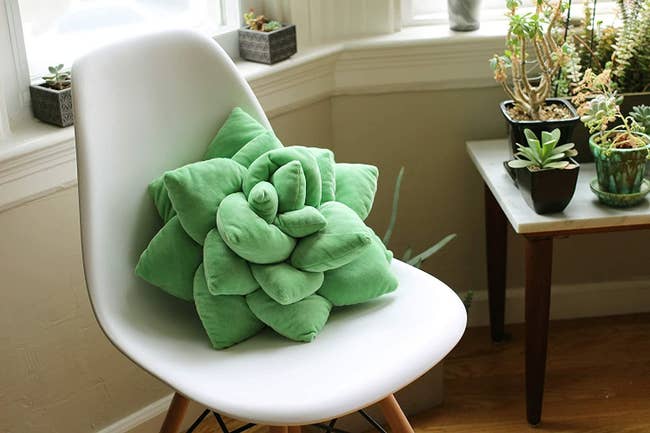 succulent pillow on chair