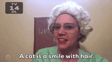 Kate McKinnon saying &quot;a cat is a smile with hair&quot;