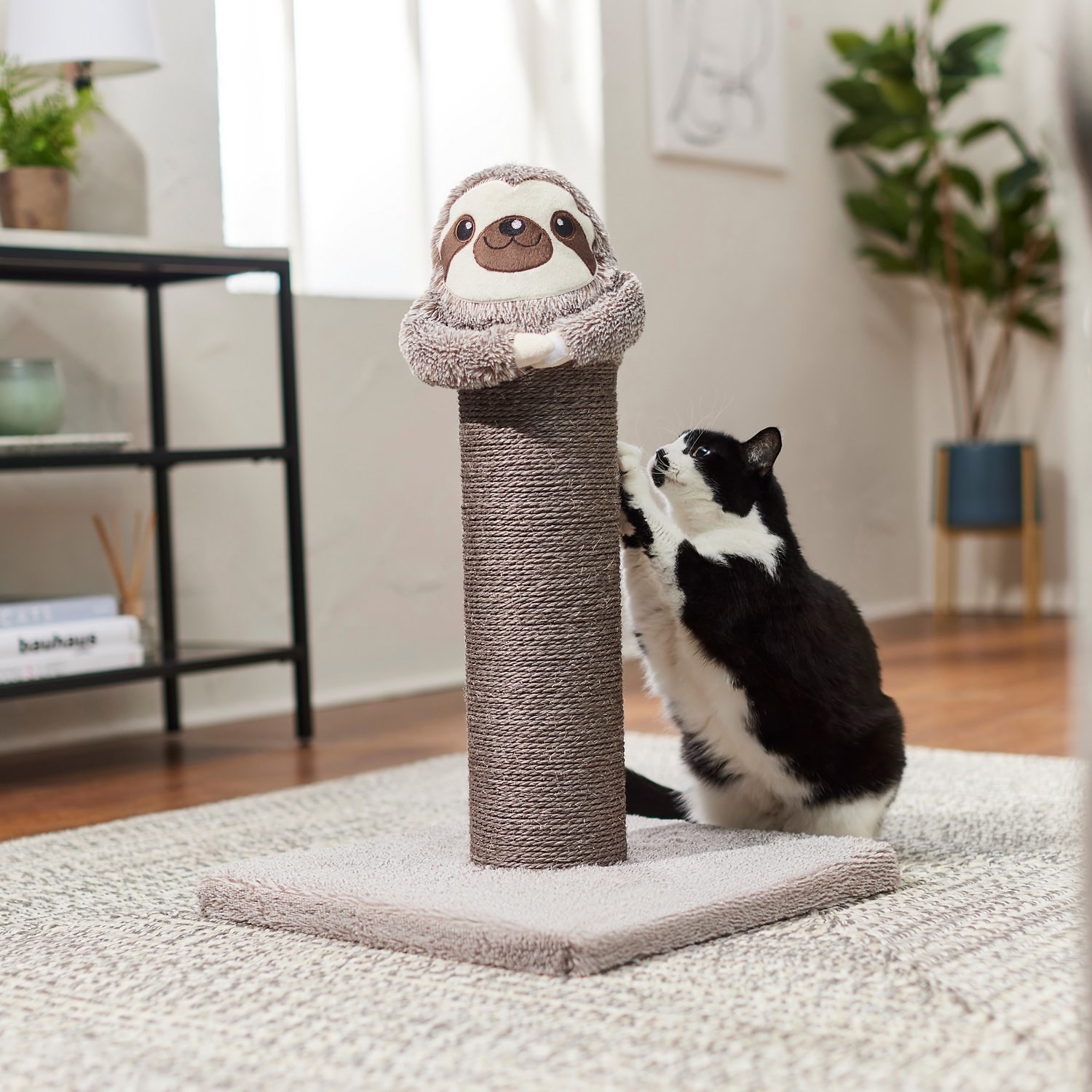 sloth scratch post