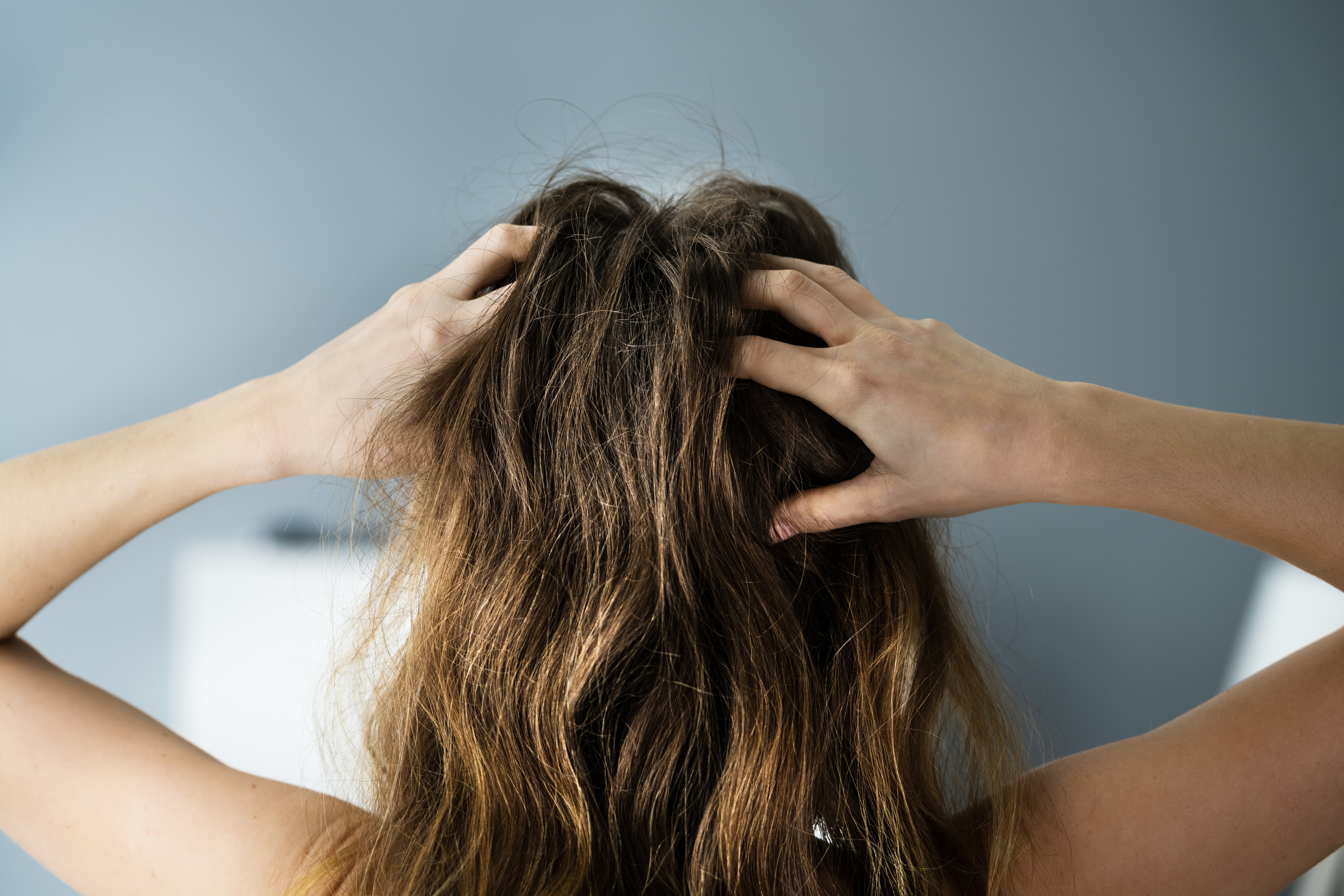 The back of a head with hands in the hair